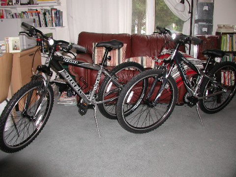 New Toys